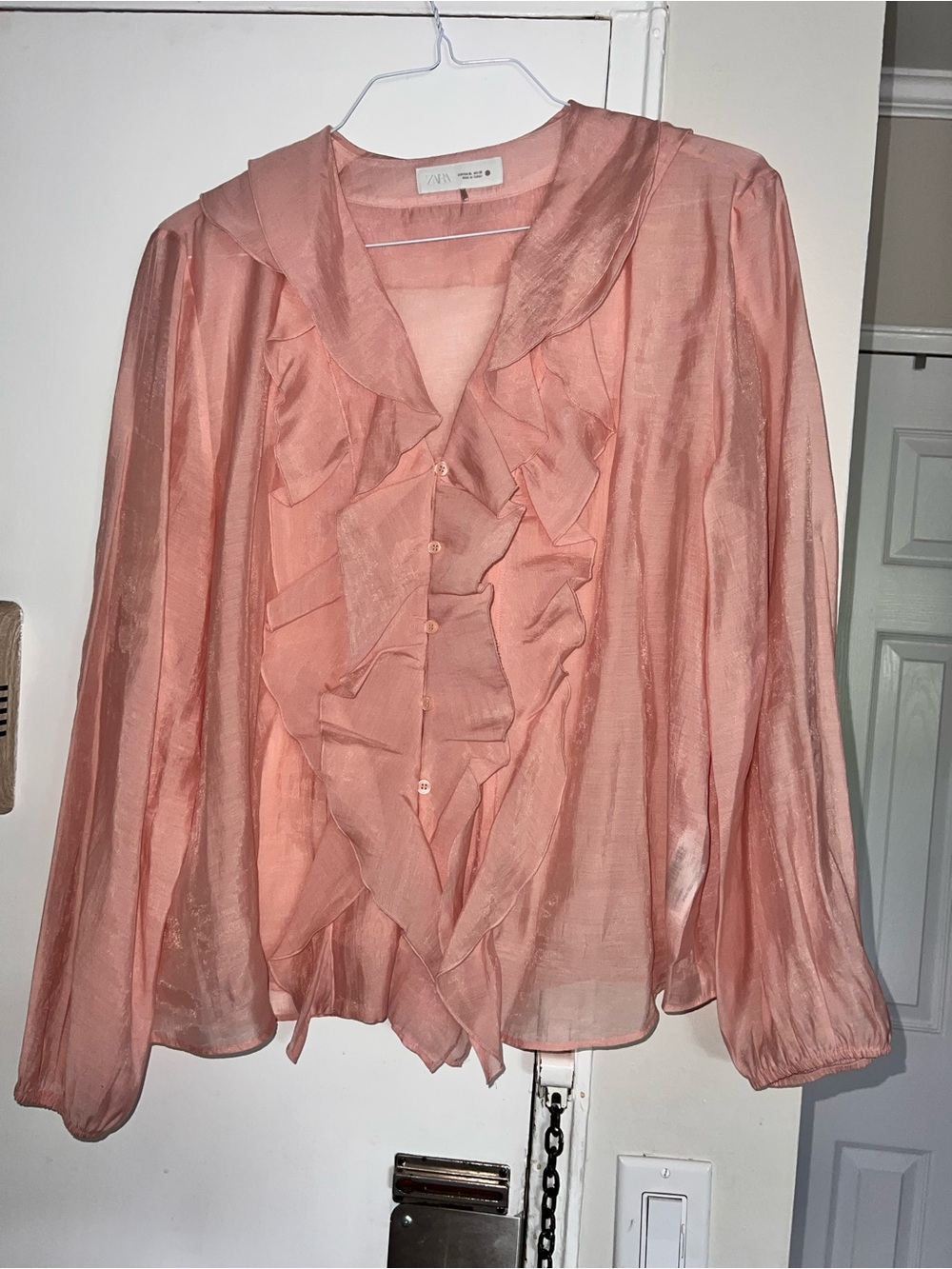 ZARA Peach Ruffle Sheer Blouse